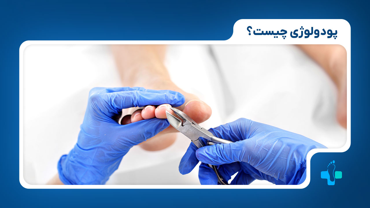 علم پودولوژی چیست؟